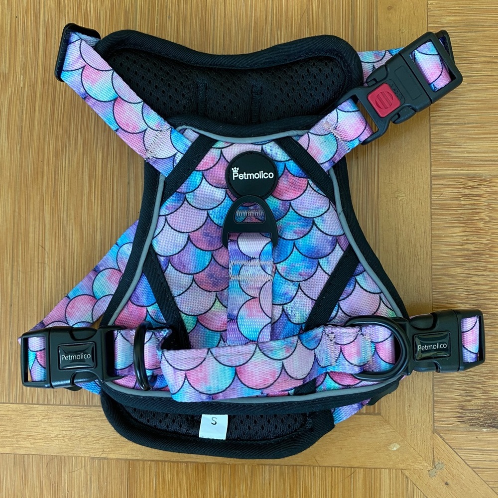 Petmolico No-Pull dog harness with leash, Size Small, NEW